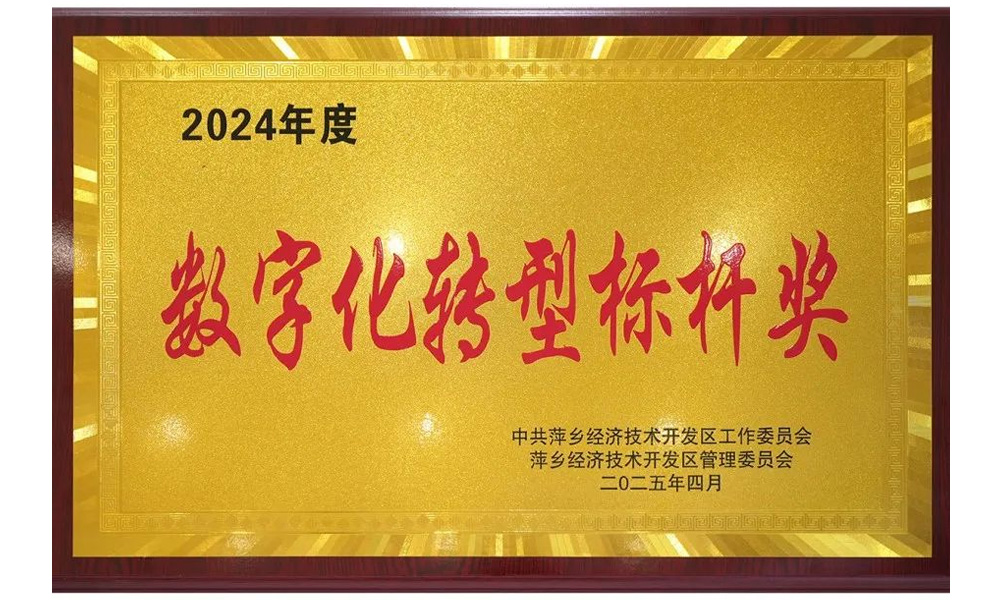 2024年度數(shù)字化轉(zhuǎn)型標(biāo)桿獎